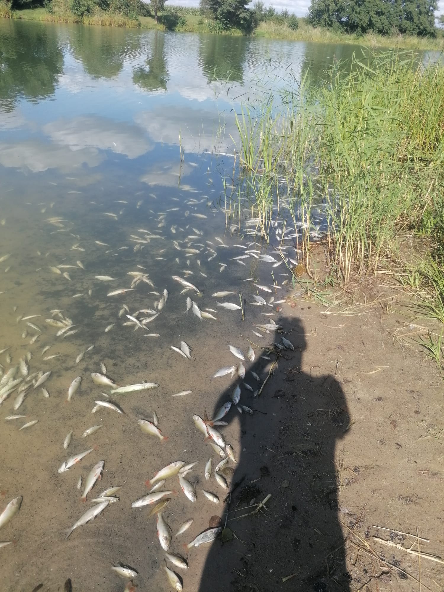 Sauerstoffmangel 2023